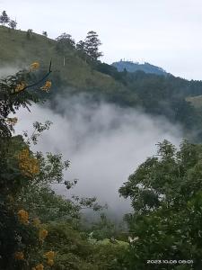 un río nebuloso con árboles y una colina en el fondo en Sudumal Cottage, en Ella