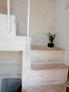 a brick staircase with a potted plant on it at trullo Le murge in Alberobello