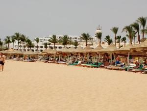 a beach with chairs and umbrellas and palm trees at SUNNY BEACH resort apartment for rent in Montazah in Sharm El Sheikh