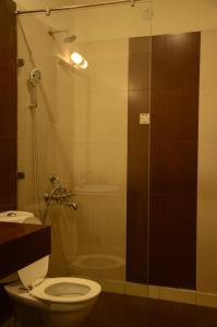 a bathroom with a toilet and a glass shower at Van Durga Villas & Suites in Padmi