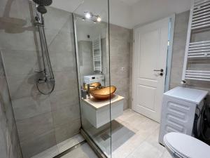 een badkamer met een douche met een kom op een aanrecht bij Central cozy Apartment in Cluj-Napoca +11 foto's