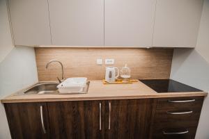 Kuchyň nebo kuchyňský kout v ubytování Studio Mobile Home Gotar
