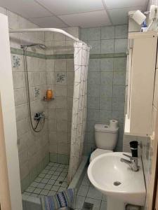 y baño con ducha, aseo y lavamanos. en Appartement Chania Centrum en La Canea