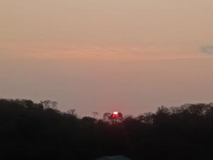 una bola roja en el cielo sobre algunos árboles en Tarsan Homestay en Labuan Bajo