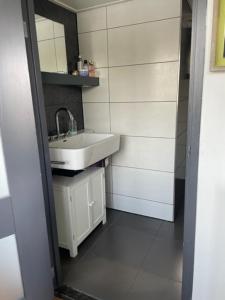 Aangenaam op de Rijn, woonboot, inclusief privé sauna的厨房或小厨房