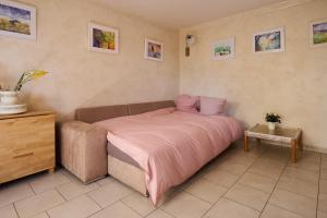 1 dormitorio con 1 cama con manta rosa en Casa Aquarella - Proche Strasbourg, en Schiltigheim