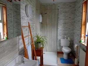 a bathroom with a shower and a toilet and a sink at BARHOLM CROFT Holiday Cottage in Creetown