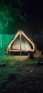 namiot siedzący w polu w nocy w obiekcie Beyond Brahmaputra Campsite 