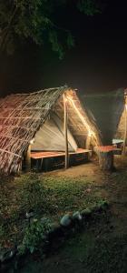 a large tent with lights on it at night at Beyond Brahmaputra Campsite 