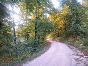 Fotografie z fotogalerie ubytování TOMO2 v destinaci Postojna