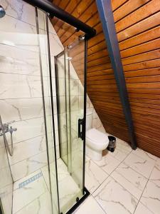 La salle de bains est pourvue d'une douche et de toilettes. dans l'établissement Estebe Bungalov, à Sapanca