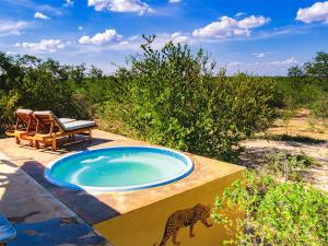 a swimming pool with a leopard statue next to a bench at Yingwe self catering villa bordering Kruger with private pool in Phalaborwa