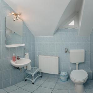 bagno con servizi igienici e lavandino di Kaffai Panzio a Izvoru Mureşului