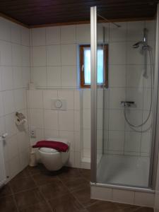 uma casa de banho com um chuveiro, um WC e uma banheira em Weixler Schindelberg em Oberstaufen