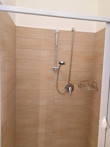 a shower with a wooden wall in a bathroom at La Foggia seaside paradise in Siculiana