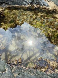 安賽德的住宿－Seaside & Lake District retreat，地上一桶水,有草