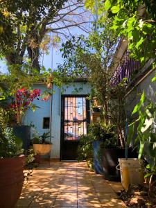 una puerta delantera de una casa con plantas en Micasa Hostel - Congonhas, en São Paulo