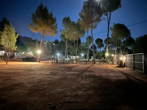 a parking lot at night with trees and lights at VILLAS LAS LAGUNAS 1 in Ossa de Montiel