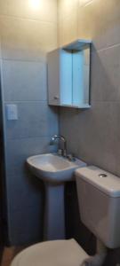a bathroom with a sink and a toilet and a mirror at La Nave 2 in Potrerillos