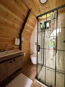 a bathroom with a glass shower and a toilet at Mira Deluxe Bungalov in Sapanca
