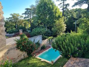- une vue sur la piscine dans le jardin dans l'établissement Maison de famille, à Bouillargues