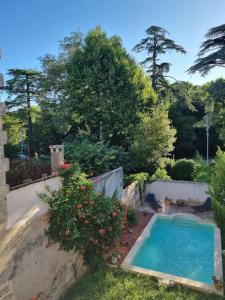 - une petite piscine dans une cour avec un bush dans l'établissement Maison de famille, à Bouillargues