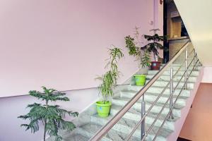a group of potted plants on a staircase at OYO Flagship Hotel Rainbow in Tezpur