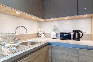 a kitchen with a sink and a counter at Divine Suite in London