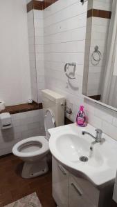 クニンにあるJasna1のバスルーム(白いトイレ、シンク付)