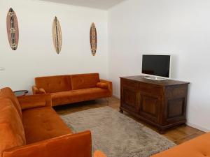sala de estar con sofá y TV en THE BEACH - large apartment with private beach, en Pettenasco