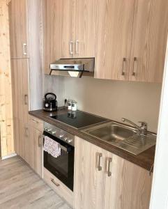 a kitchen with a sink and a stove at Unique Apartments in Döbling in Vienna