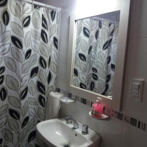 ein Bad mit einem Waschbecken und einem Spiegel in der Unterkunft Amancay in Villa Elisa