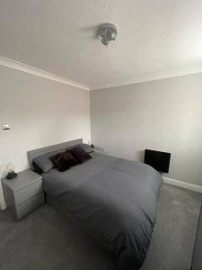 a bedroom with a large bed and a tv at Eaton Ford Green Ground Floor Apartment in Saint Neots