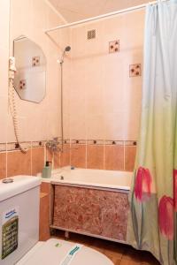ein Badezimmer mit einer Dusche, einem WC und einer Badewanne in der Unterkunft Дуглас in Petropawlowsk