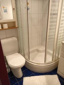 uma casa de banho com um WC e um chuveiro em Aes Sedai Kinetic Spa, Living & Airport Shuttle Services em Antuérpia