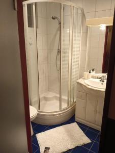 uma casa de banho com um chuveiro, um WC e um lavatório. em Aes Sedai Kinetic Spa, Living & Airport Shuttle Services em Antuérpia