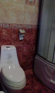 a bathroom with a toilet and a shower at Guesthouse Agat in Bataysk
