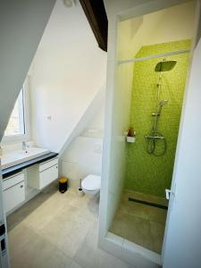 a bathroom with a shower with a toilet and a sink at L'Herboriste - Appartements meublés in Gien