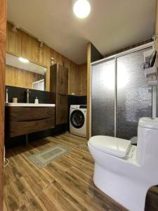 a bathroom with a toilet and a sink and a washing machine at Descanso garantizado Cochrane in Cochrane
