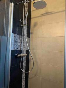um chuveiro com uma porta de vidro na casa de banho em Sandys Cozy Stone Cottage em Maulbronn