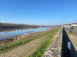 une route à côté d'une rivière avec une clôture dans l'établissement Amaryllis aux Bords de Loire, à Les Rosiers