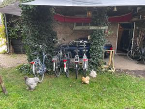 een groep fietsen geparkeerd voor een huis bij Tiny House in Kampen