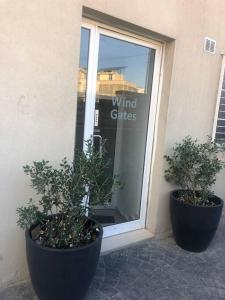 two potted plants sitting in front of a window at Swieqi : Central 3-Bed Apartment in Is-Swieqi