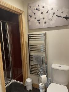 łazienka z toaletą i obrazem na ścianie w obiekcie Wrens nest w mieście Newton Stewart