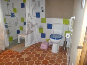 a bathroom with a toilet and a shower at Le Coq à l'Ane in Beaubec-la-Rosière