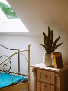 a bedroom with a bed and a plant on a table at Przewietrzona Głowa in Ponikwa