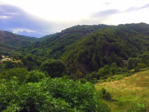 Afbeelding uit fotogalerij van Mas de Troupelas in Vals-les-Bains +18 foto's