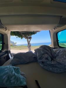 una vista posteriore di un furgone con un albero sul retro di CamperTF - old but lovable mini caravans in Tenerife a El Médano