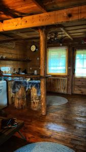 a kitchen in a log cabin with wooden floors and windows at Gorący Potok Apartamenty in Szaflary