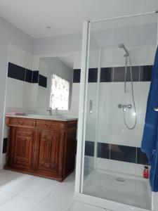 een badkamer met een douche en een wastafel bij Maison de campagne in Ambleny